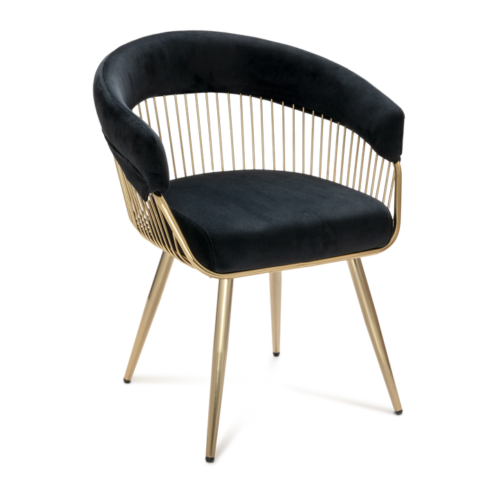 Wire Frame Dining Chair